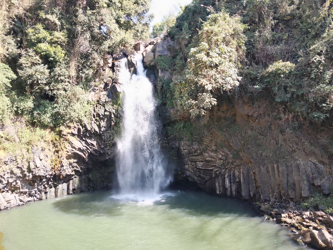 《旅行者》 4