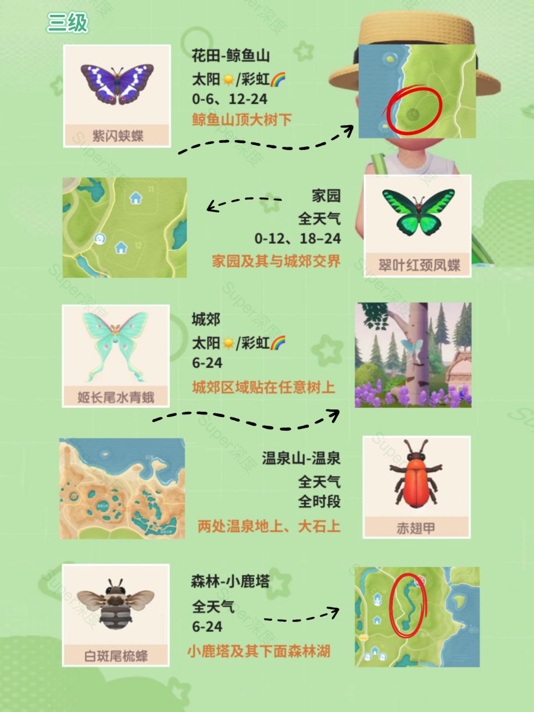 心动小镇1-12级捕虫地点详解攻略(上) 3