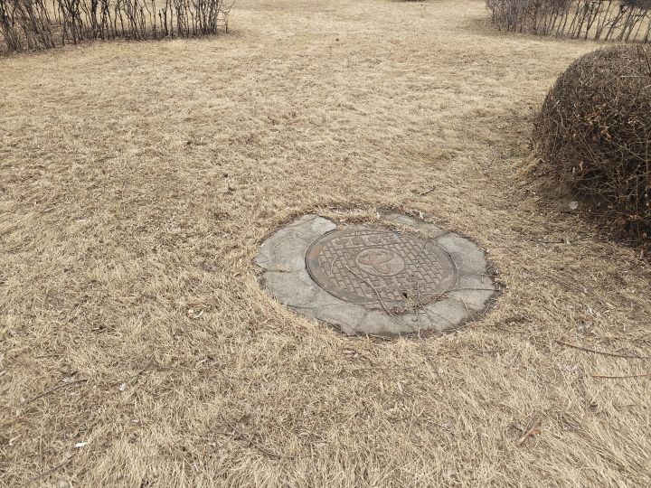 玩三角洲都入魔了截图