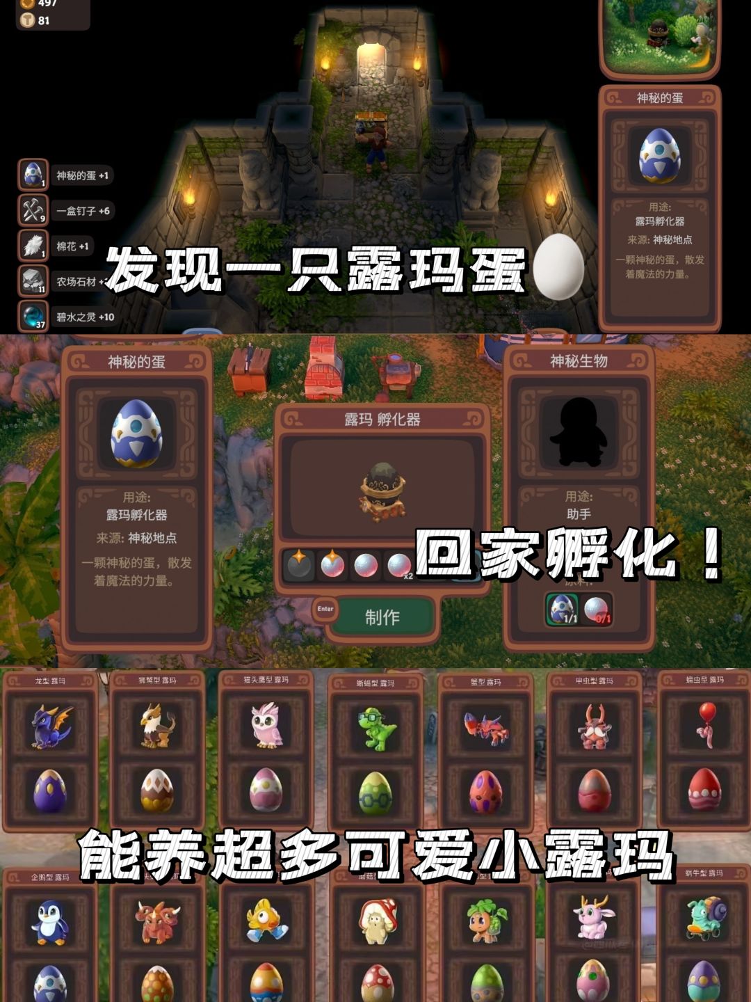 《露玛岛》｜和好朋友种田冒险最好玩🏡 6