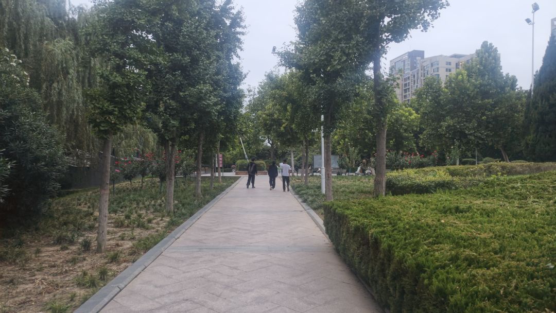 超级喜欢这样的氛围,流水,杨柳,秋风 8