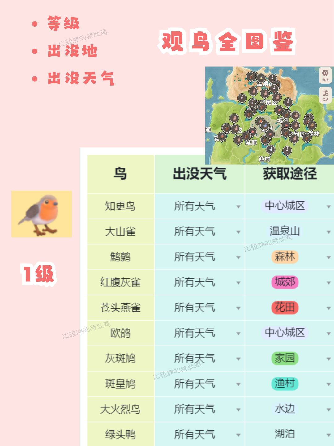 心动小镇观鸟无敌进阶全图鉴攻略(上) 2