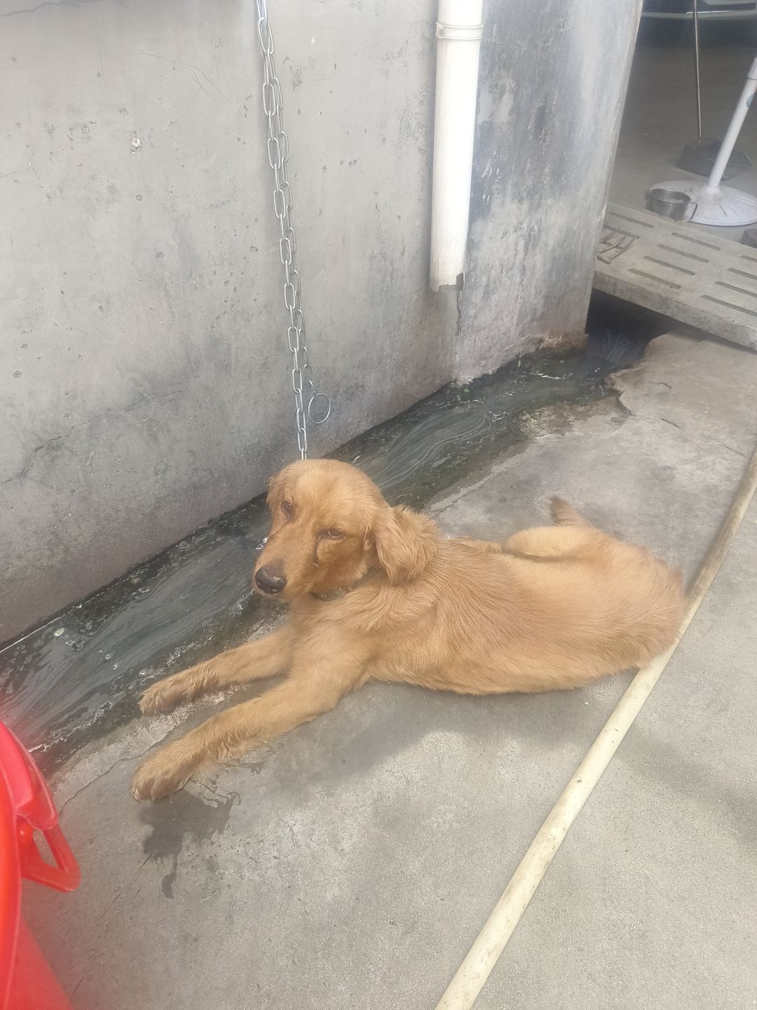 动态图片 7