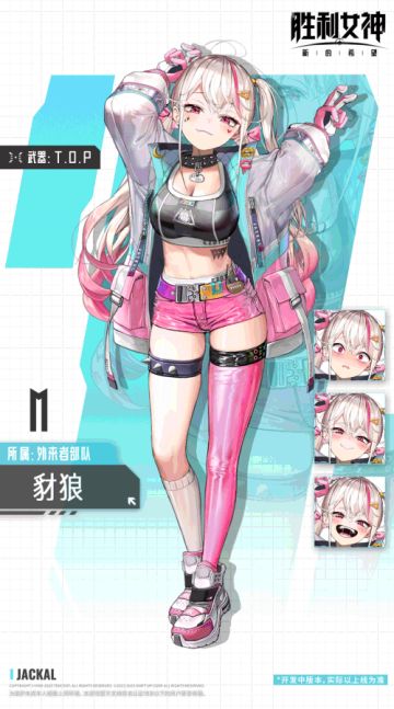 妮姬介绍 | 豺狼