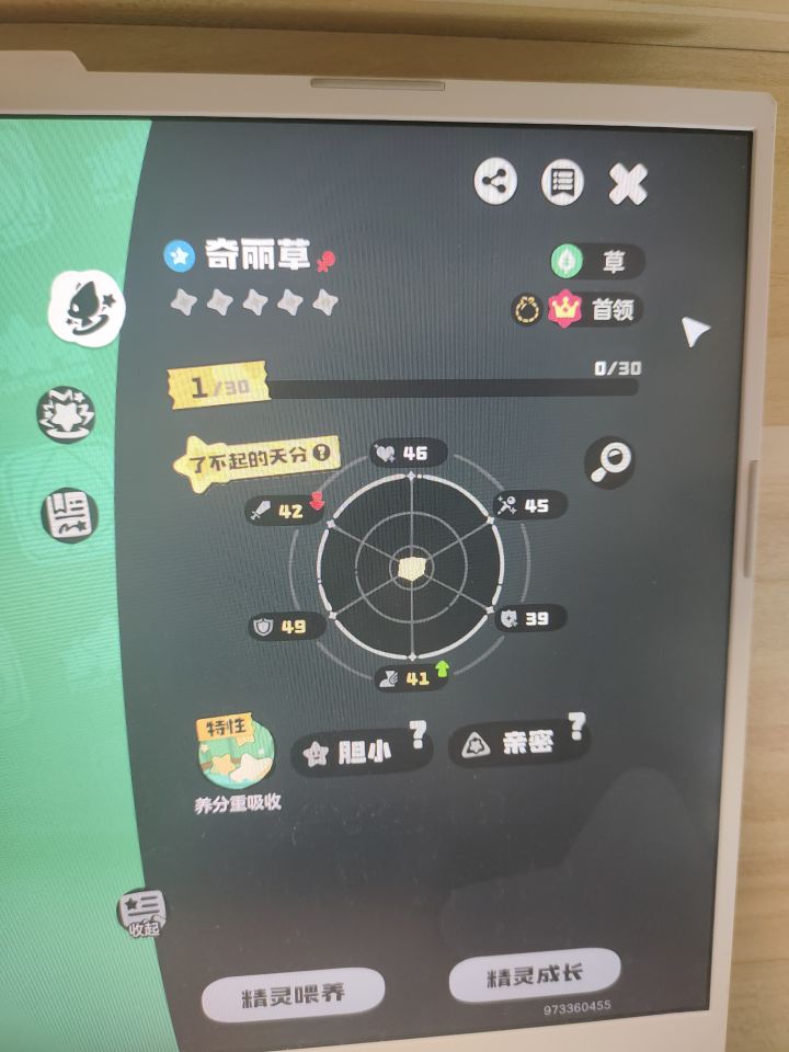 大佬们胆小奇丽草能玩吗,奇丽草要走物攻还是特攻截图