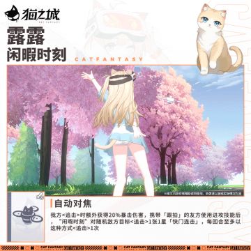 英国短毛猫：「露露-闲暇时刻」技能展示！