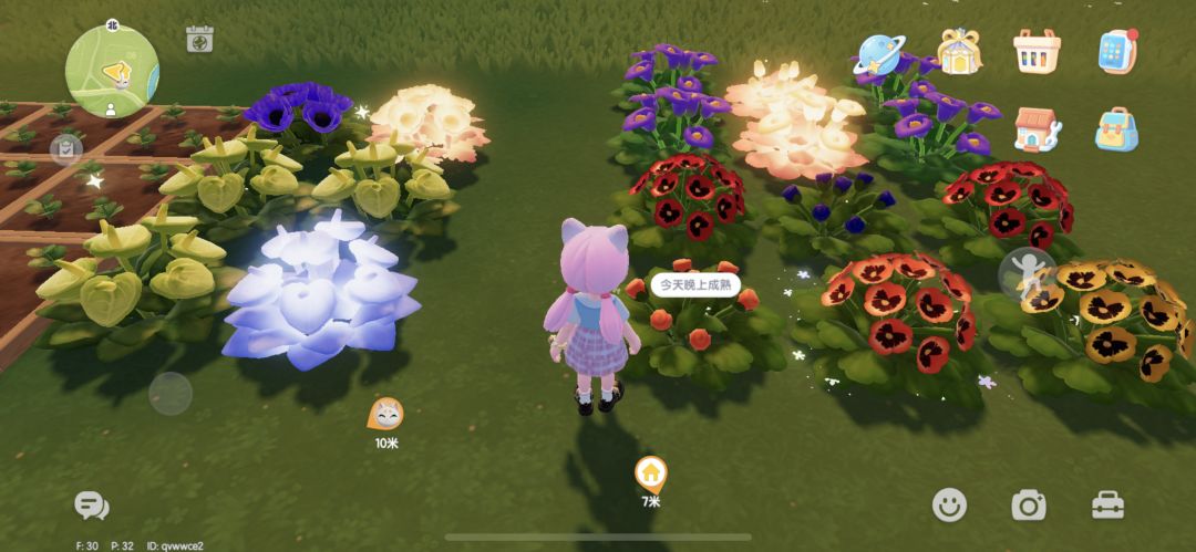 谁开彩虹花束buff让我蹭一蹭浇花花 1
