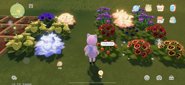 谁开彩虹花束buff让我蹭一蹭浇花花截图