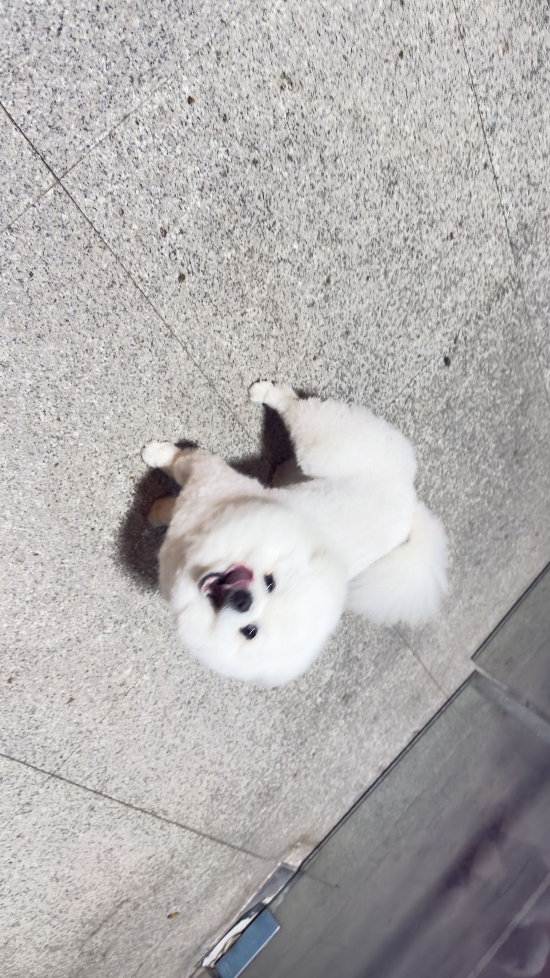 更新了之后直接进不去了? 1