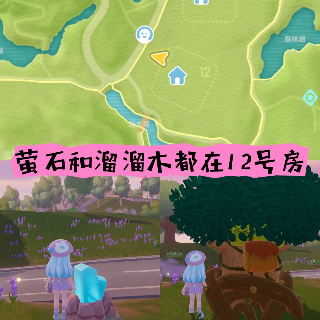 动态图片 3