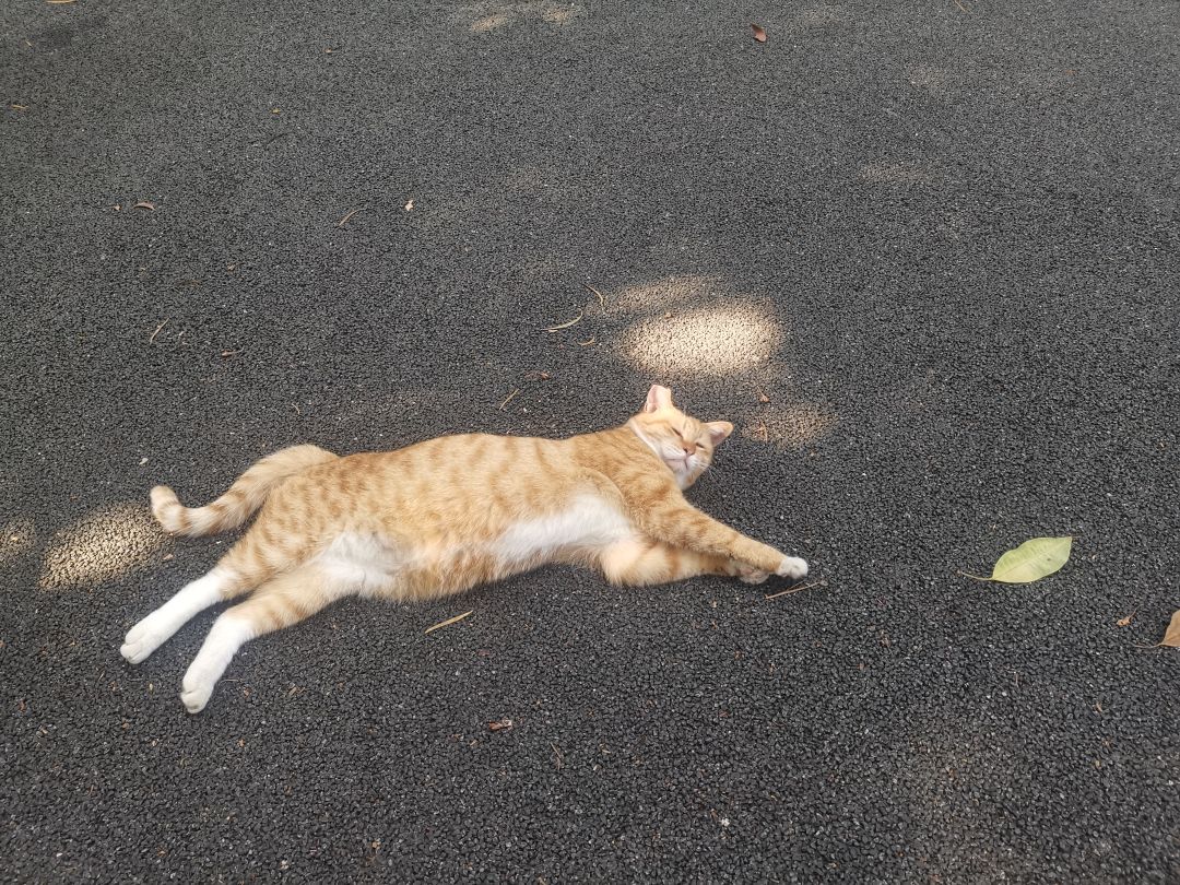 论坛打卡第三天 1