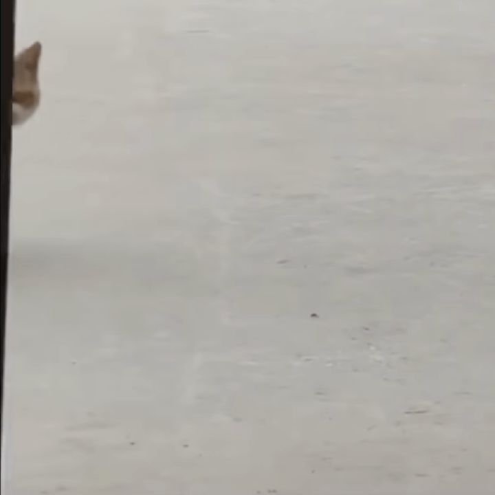。。。你家程序员这是不想好好过年了?截图