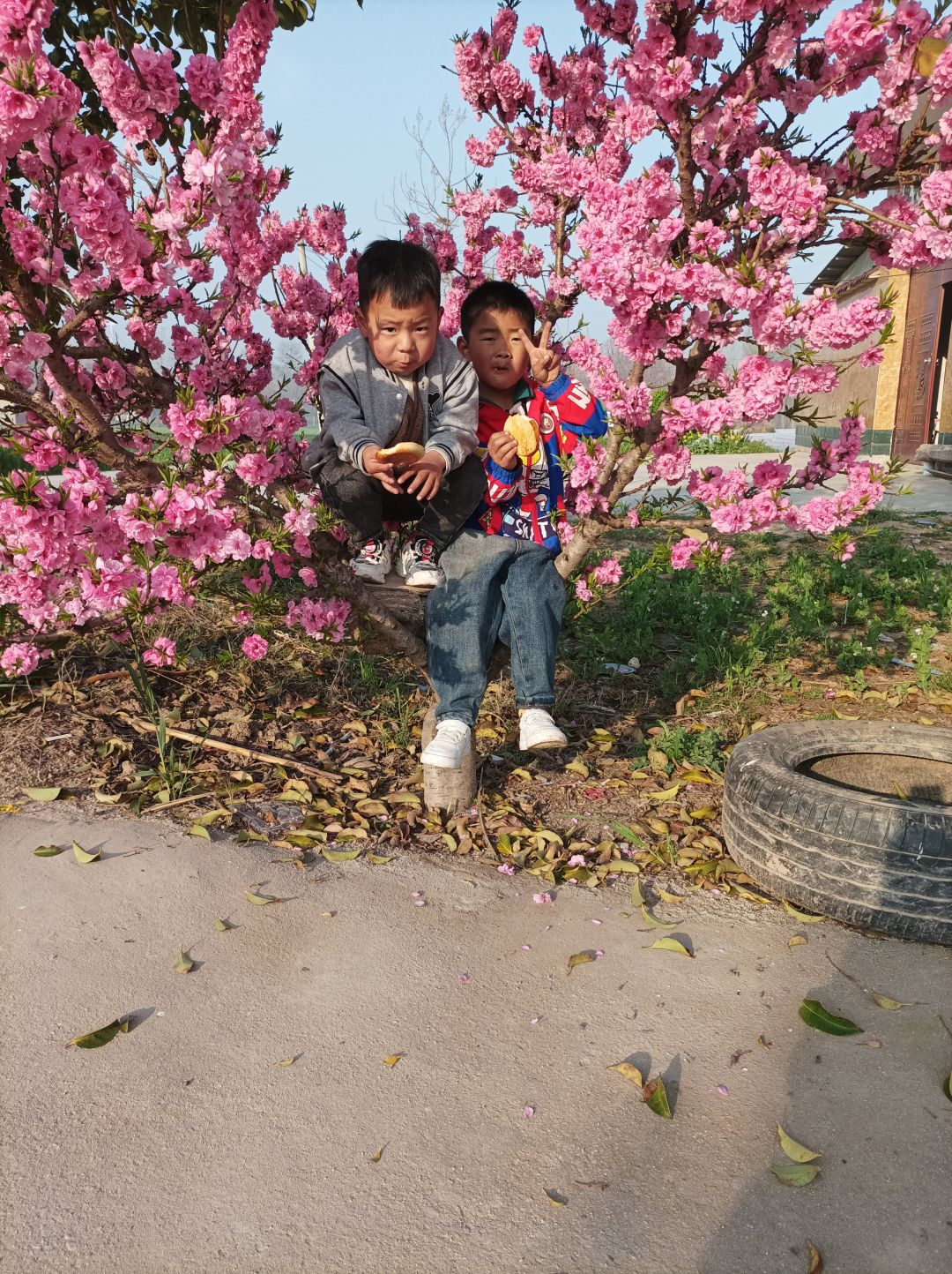 动态图片 1