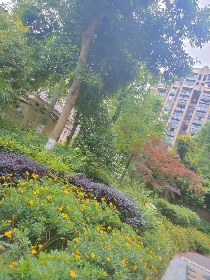 五一分享第5天截图