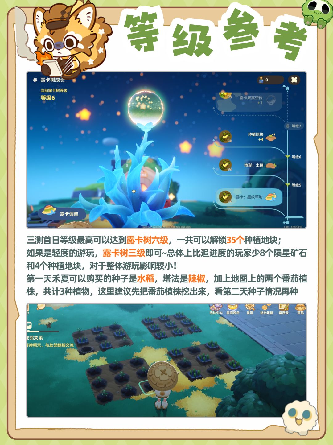 星布谷地三测第一天,进度参考,主要事项! 2
