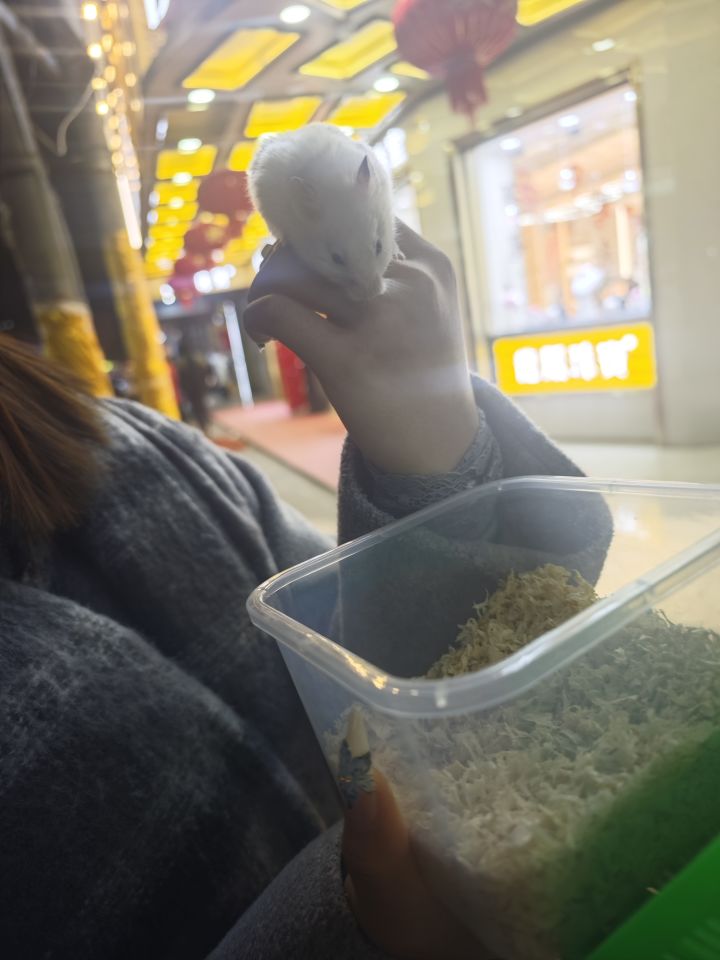 tap上下载的是什么服??截图