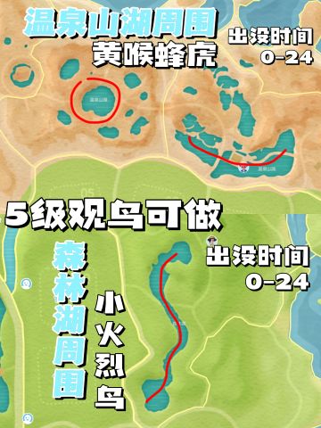 彩虹天必看！神秘商人｜钓鱼|观鸟|补虫（下