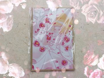 收到岳导的色纸签绘啦！