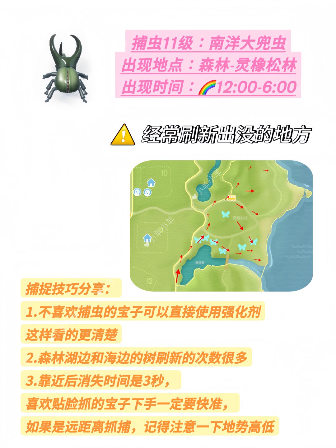彩虹天捕虫-南洋大兜虫五星攻略分享 2