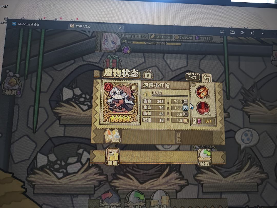 这两小红帽要哪个 1
