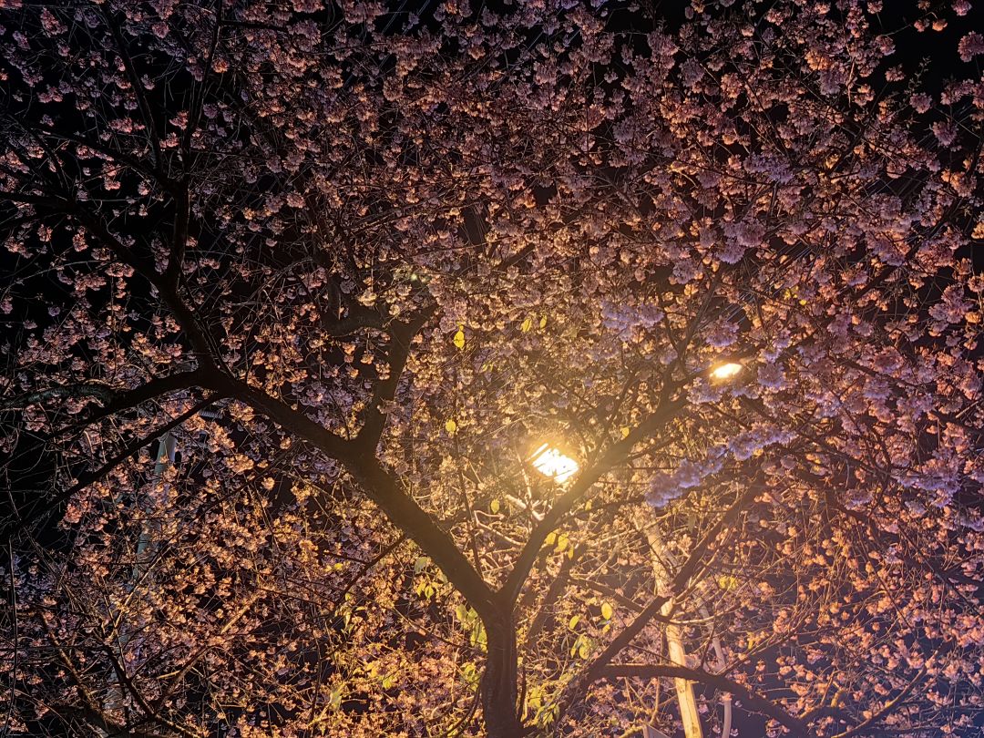 好听!喜欢! 2