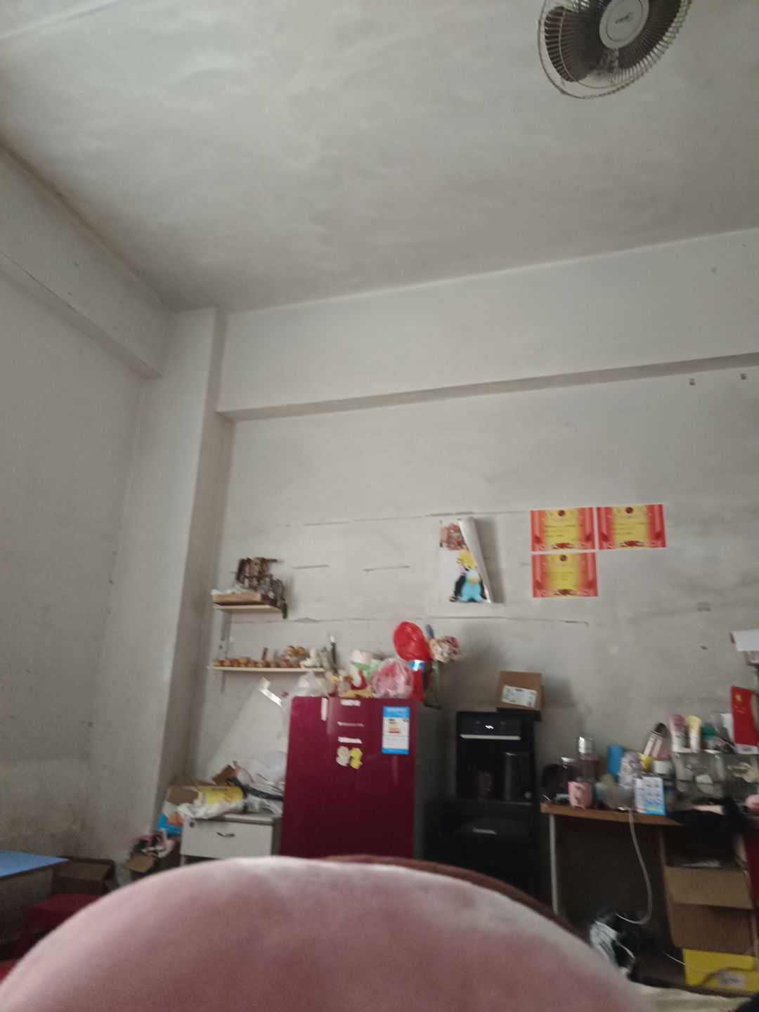 动态图片 6