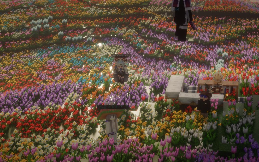 Hallo Minecraft 12
