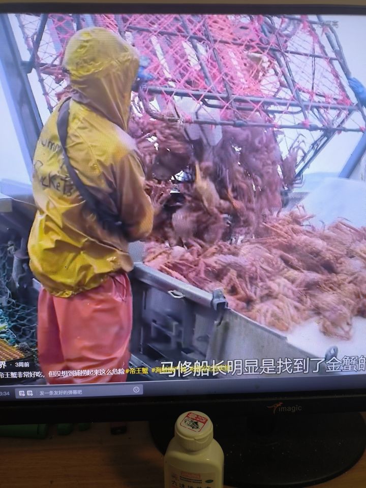 假期分享第四天截图