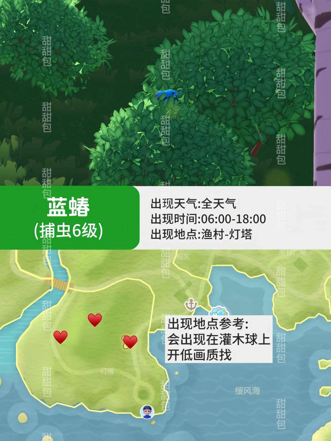 心动小镇那些难找的虫丨捕虫点位参考Vol.3 2