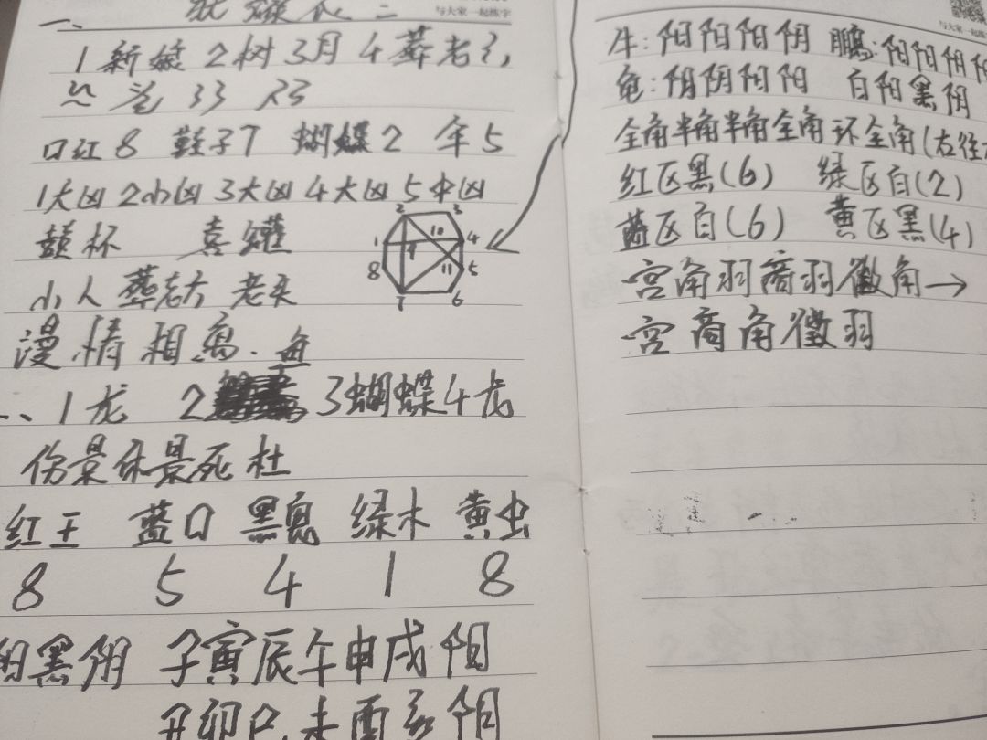 动态图片 9