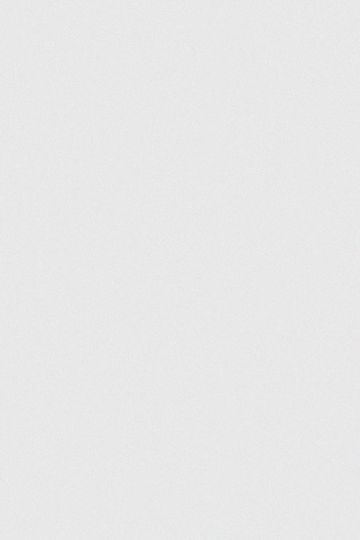 【特勤档案】天狼星 | Sirius