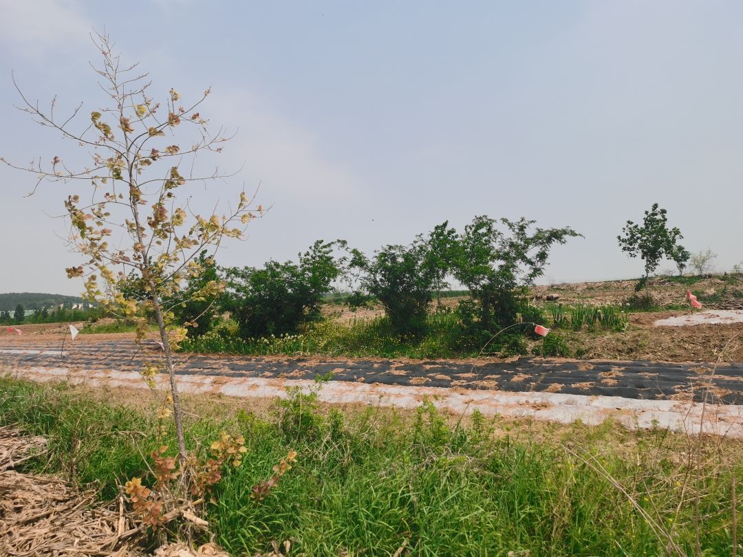 风景如画 3