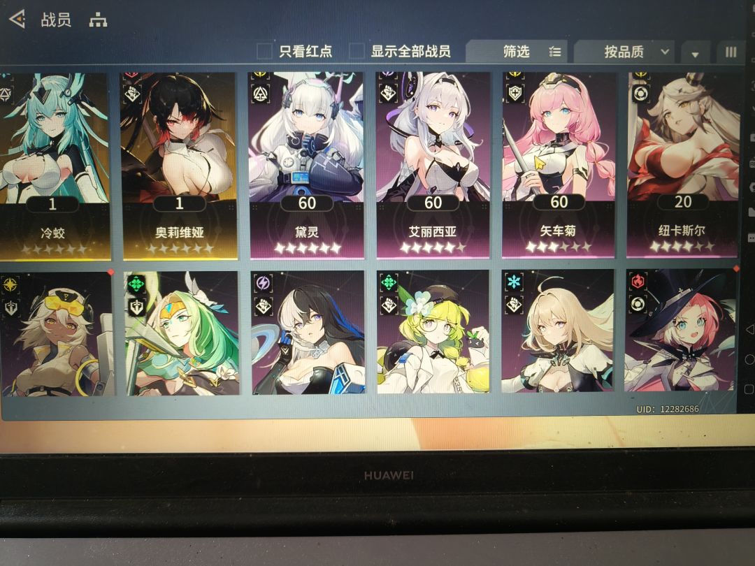 大佬们,刚回归,该怎么配队,求指教 3