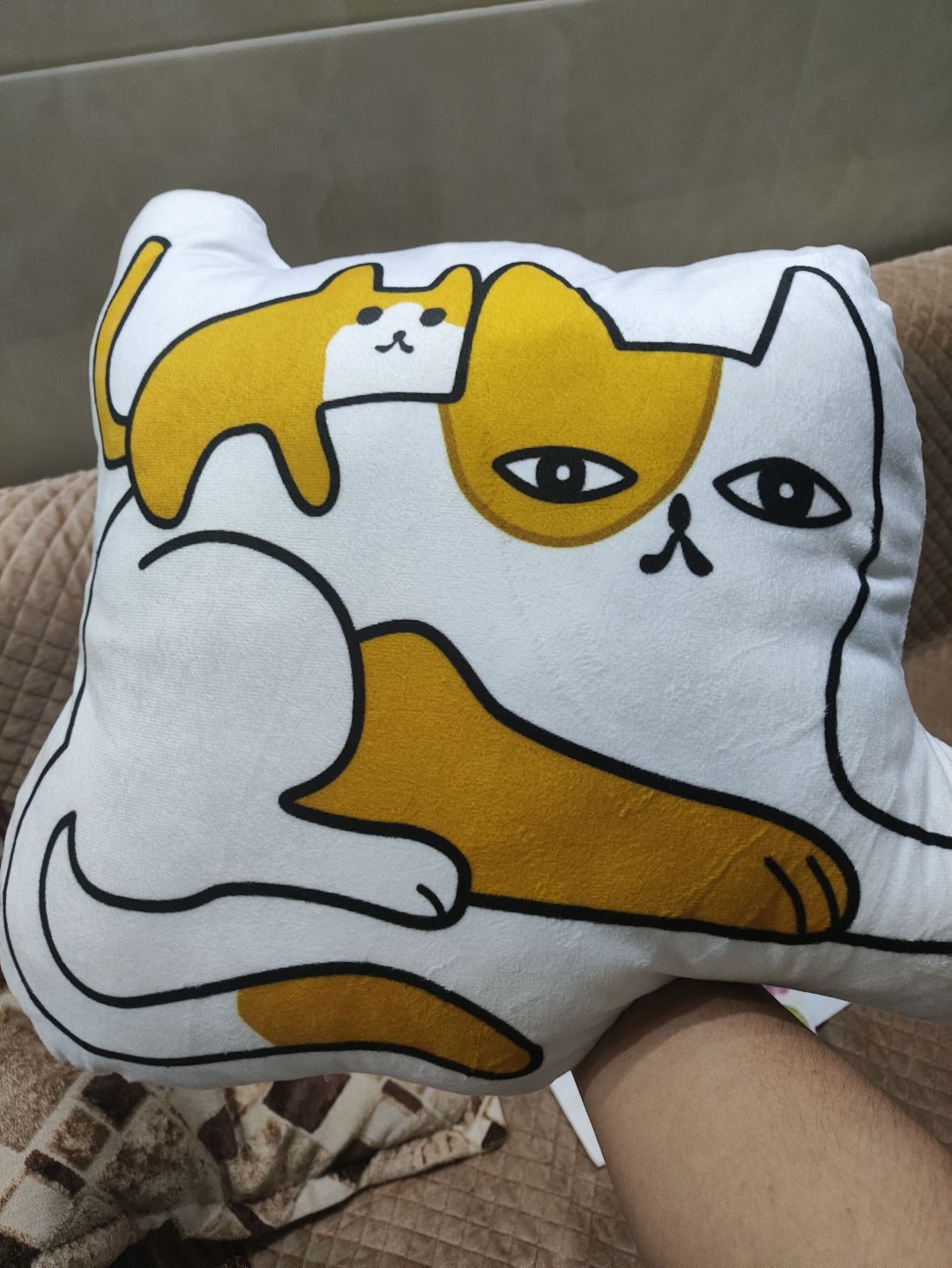 官方的奖品到货了 1
