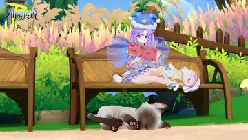 在普隆德拉的微风里，找回属于自己的节奏