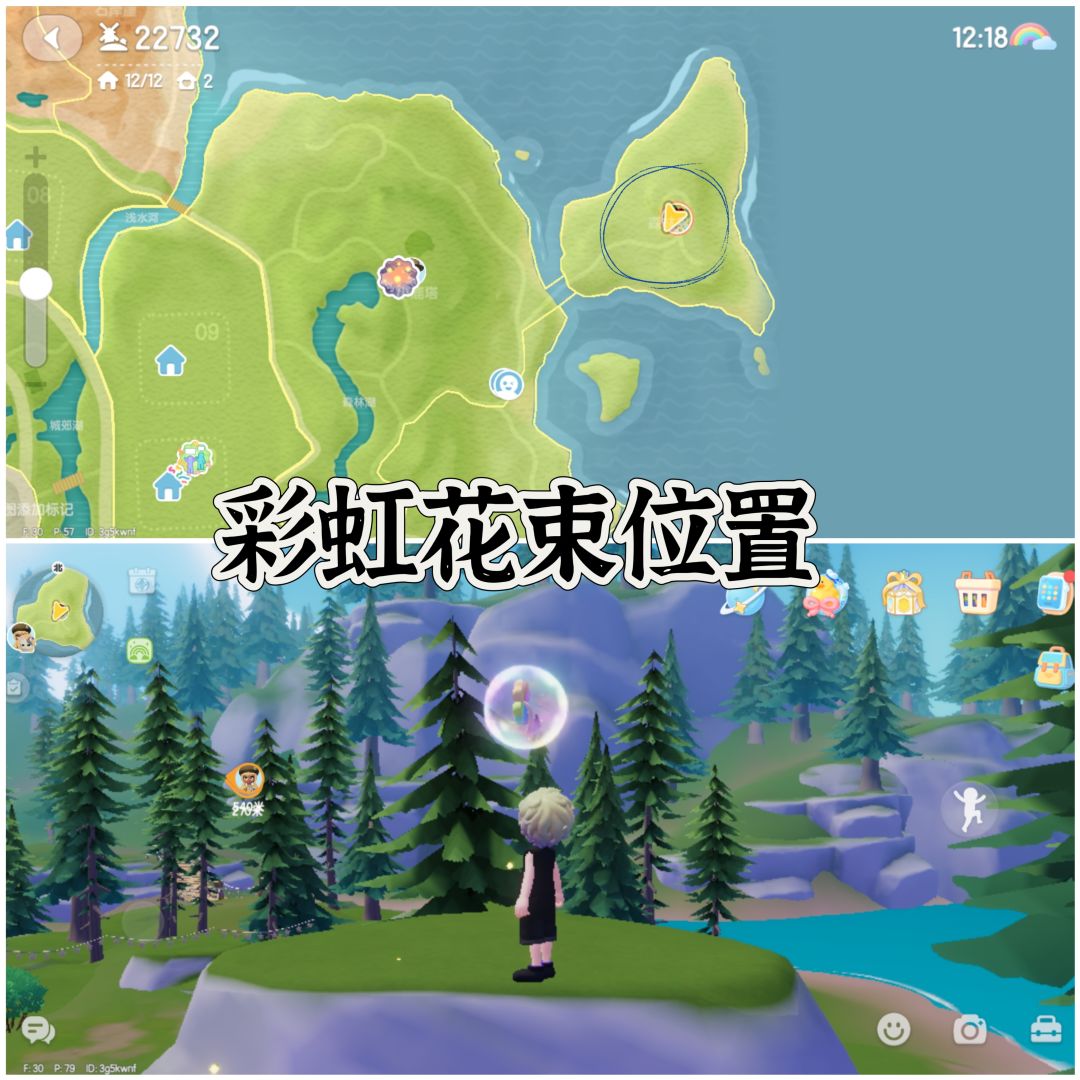 9月8日彩虹花束和朵朵位置。 2
