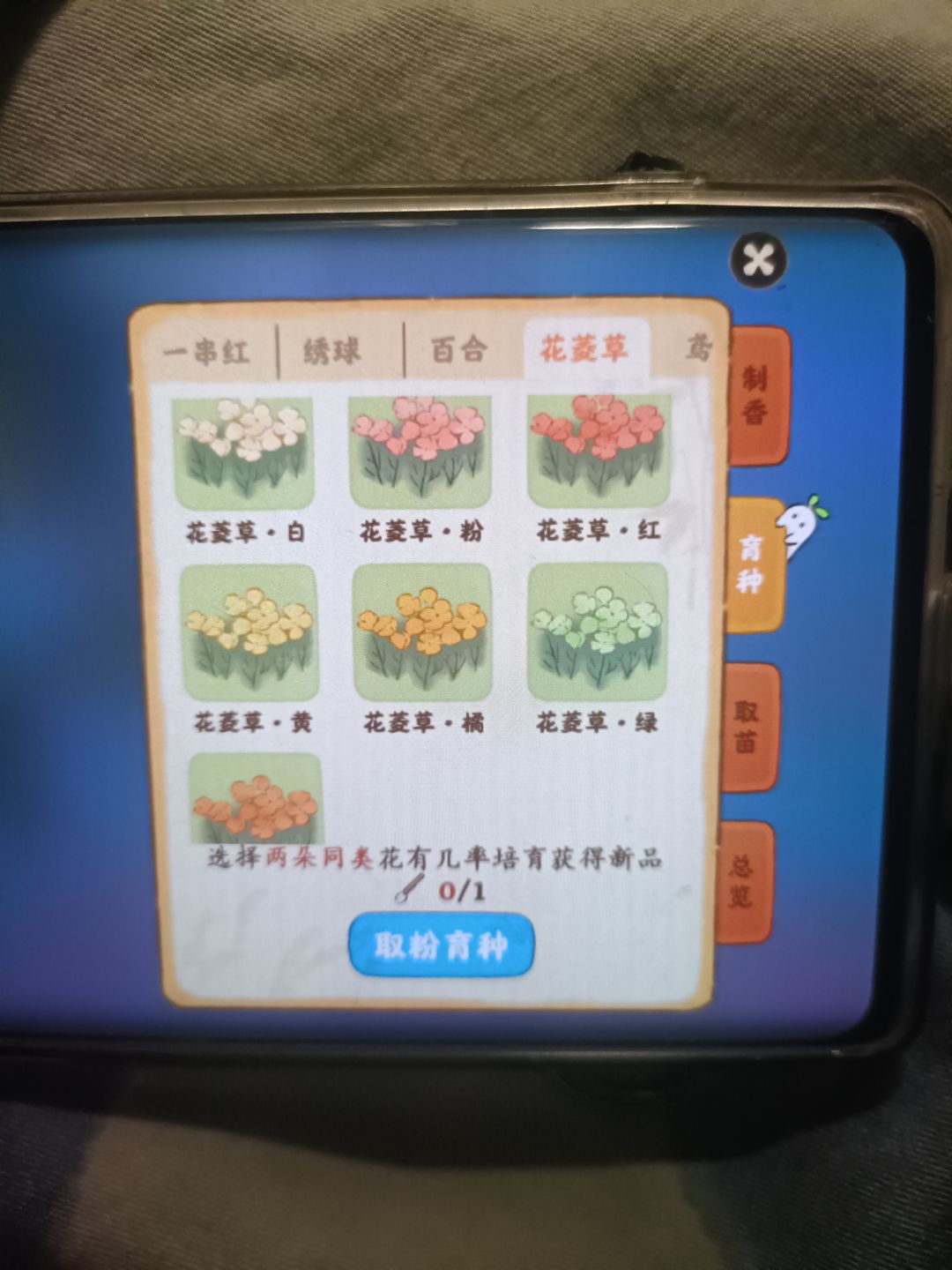 浅粉色花菱草怎么配啊 1