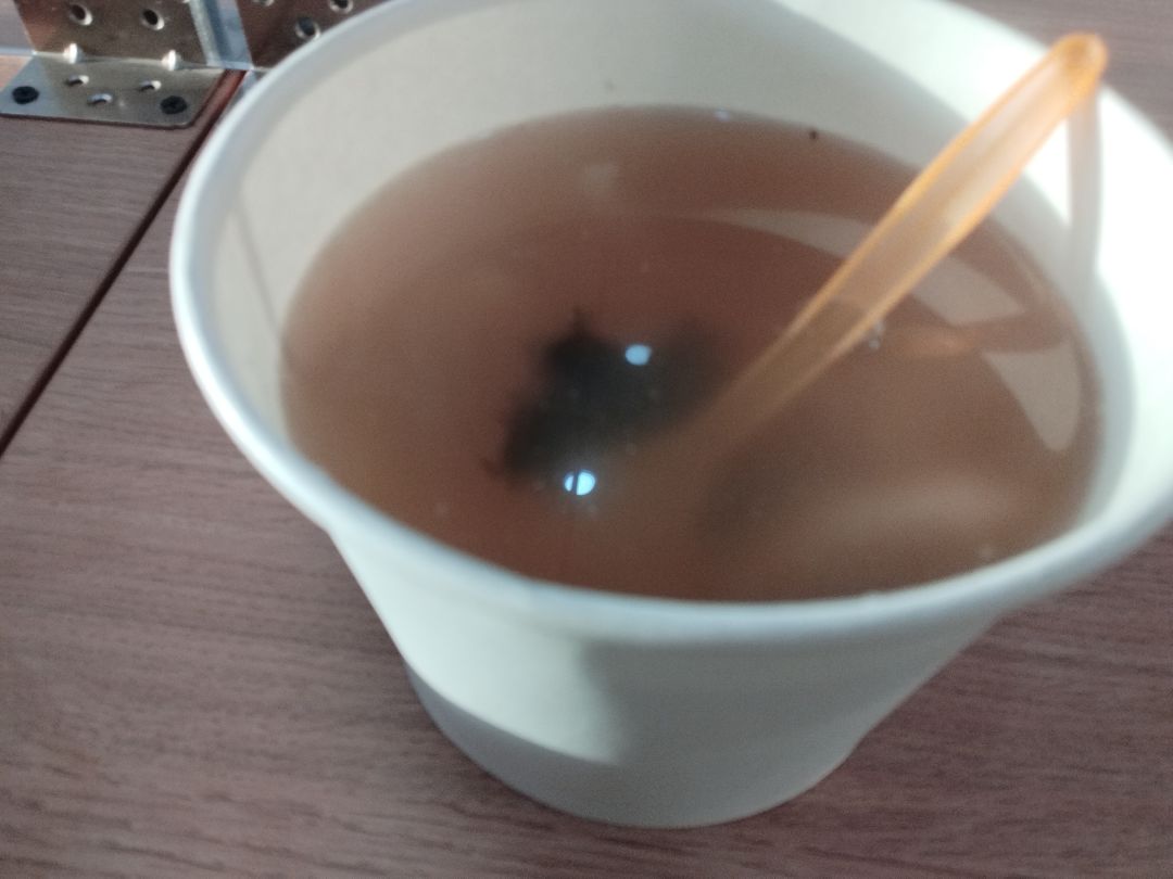 没当场骂 是我最后的倔强 敲木鱼积功德 2