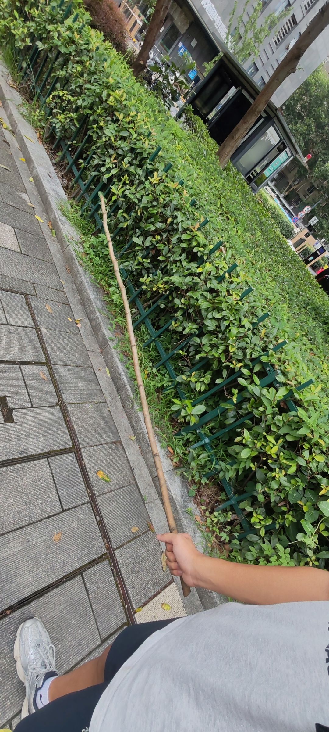 黑芝麻是最好玩的游戏 1