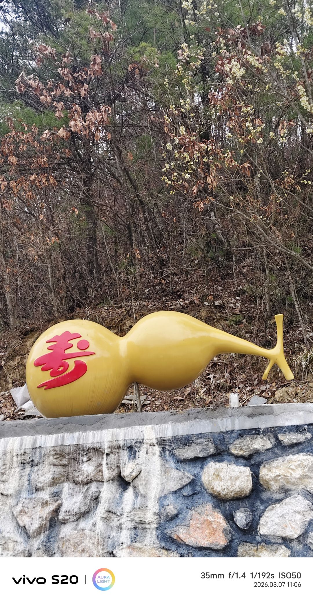 出单神了,纪录一下。 2