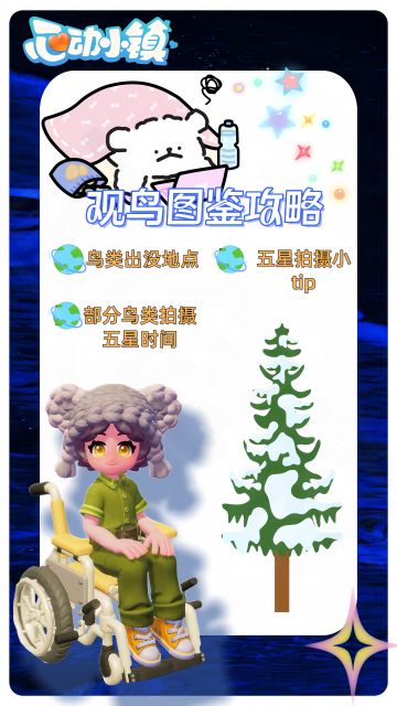 心动小镇丨观鸟攻略！