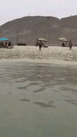 吃不起药了,求帮助!截图