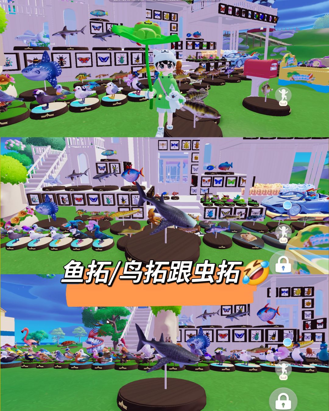 一个让你100%变成鱼/鸟/虫拓印的躲猫猫🤣 2