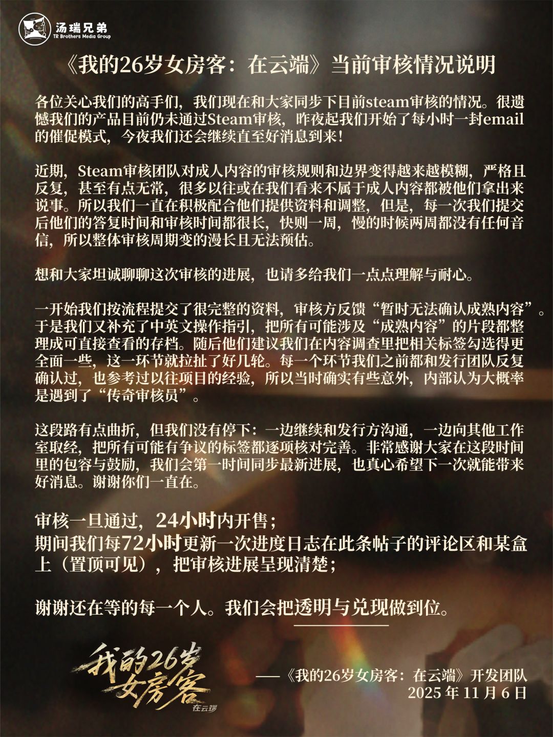 审核情况说明 1