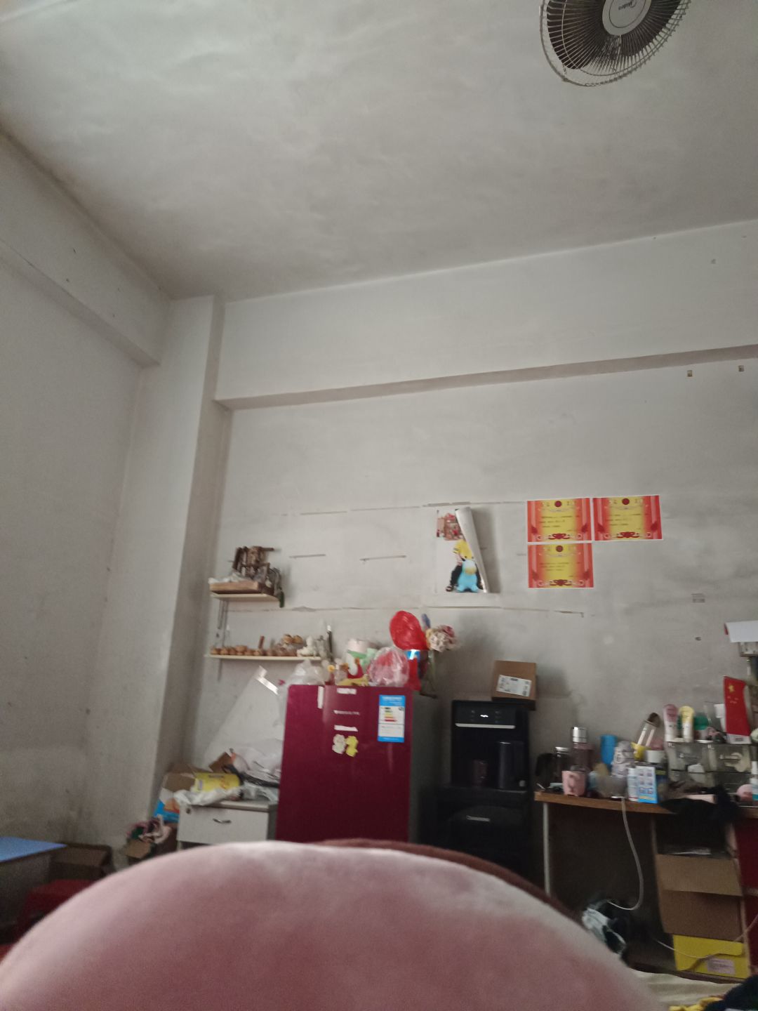 动态图片 9