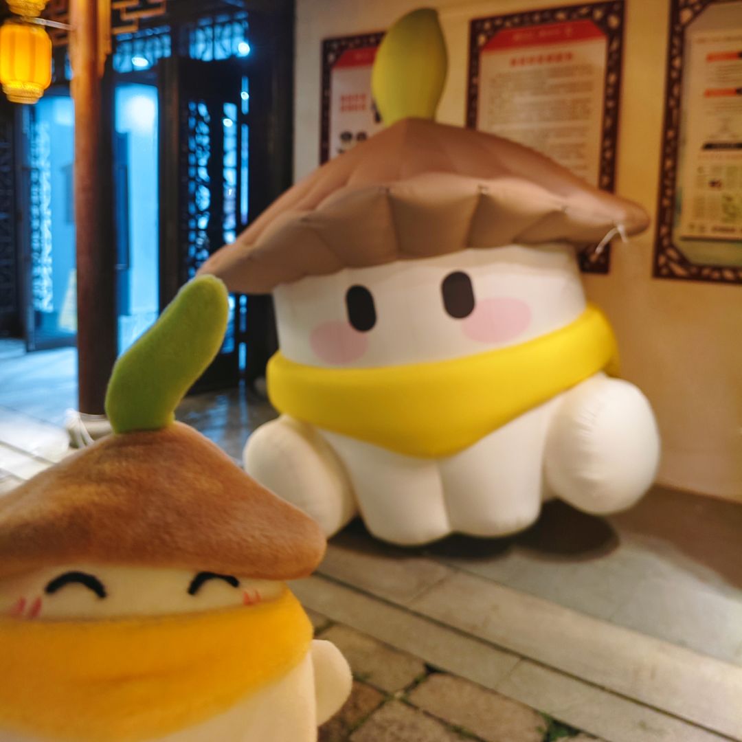 为桃源而去的斜塘老街 1
