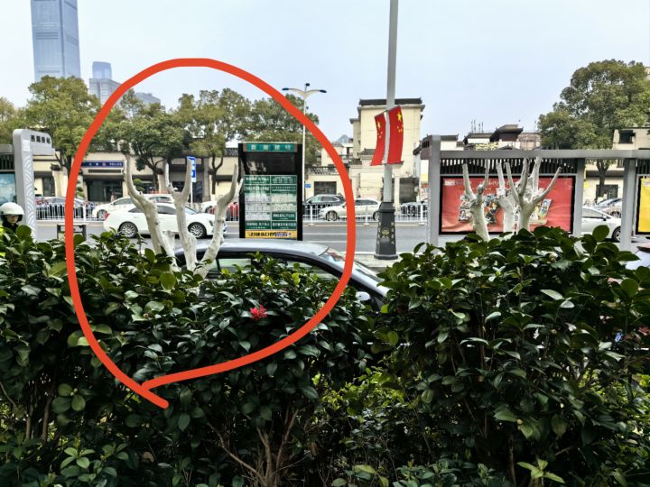 啊！！！我好像拿火打它一下！截图
