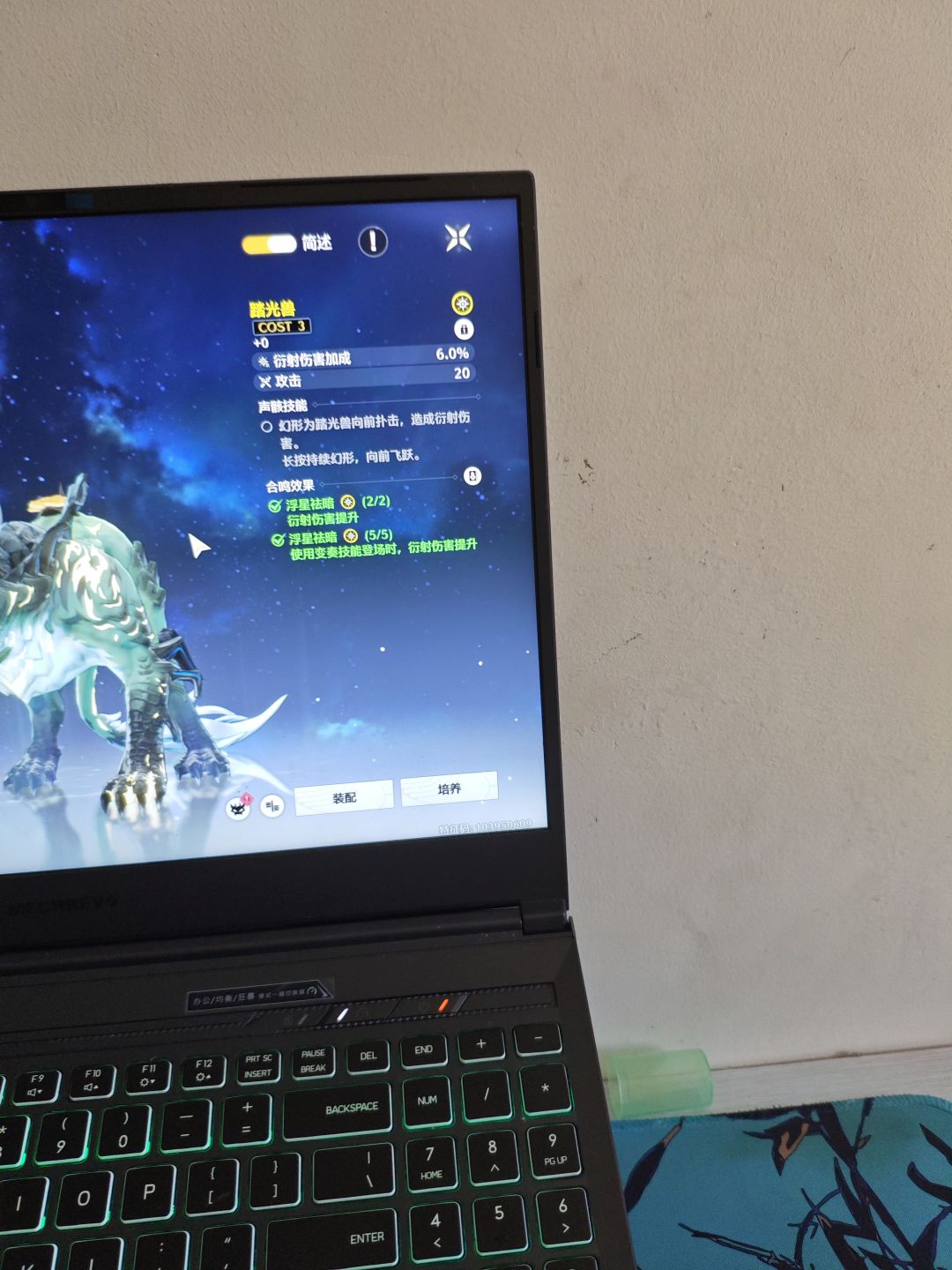 声骸的词条怎么整 2
