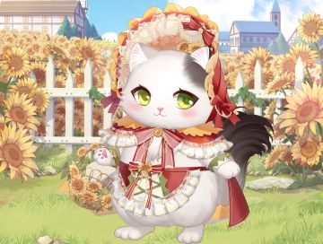 猫咪情报站丨葵葵