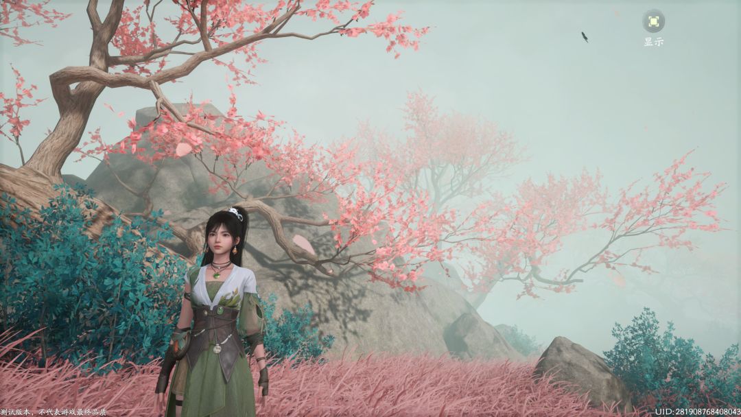 桃花坞里桃花庵 9